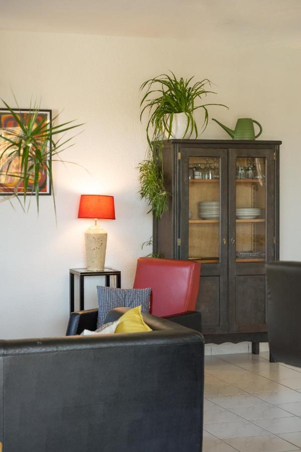 Le Clos Bellevue Appartement T3 Parking + Piscine Rodez Eksteriør billede